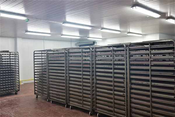 Camara de fermentacion controlada industrial