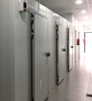 Conjunto de camaras modulares