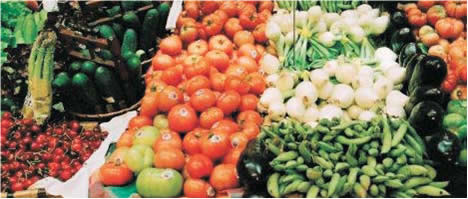 sector hortofruticola
