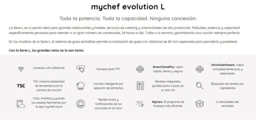 Hornos Profesionales - Imagen 9
